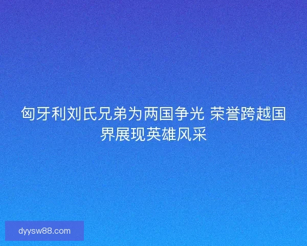 匈牙利刘氏兄弟为两国争光 荣誉跨越国界展现英雄风采
