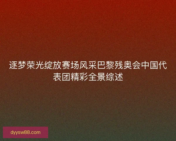 逐梦荣光绽放赛场风采巴黎残奥会中国代表团精彩全景综述 逐梦荣光绽放赛场风采巴黎残奥会中国代表团精彩全景综述